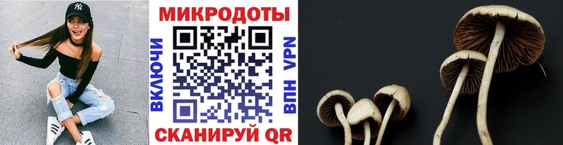 Галлюциногенные грибы мухоморы  ОМГ ОМГ как зайти  Усолье 